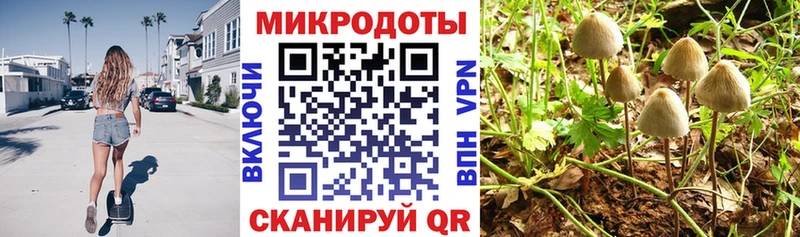 Псилоцибиновые грибы мухоморы  купить наркотик  Новосиль 